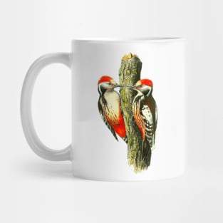 Red tufted finch on tree trunk Mug